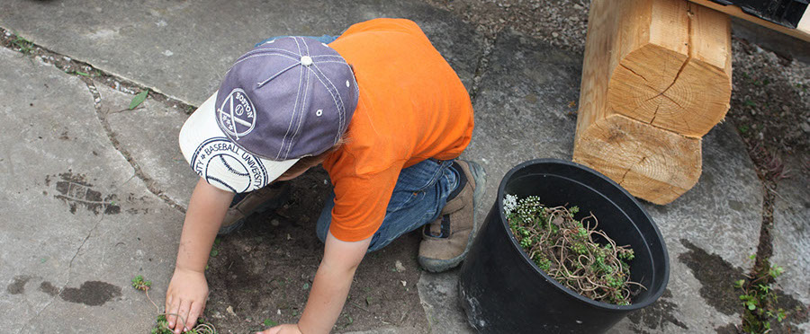 Kinder | Kindergarten | Schule | Natur | gaertnern | Erlebnisgarten